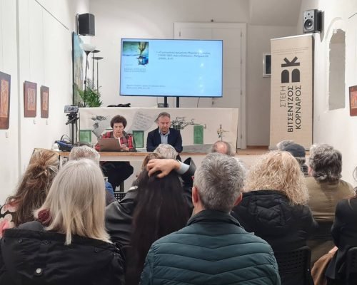 ΑΝΤΩΝΗΣ για SITE - ΕΛΛΗΝΟΤΠΥΡΚΙΚΗ ΣΥΝ