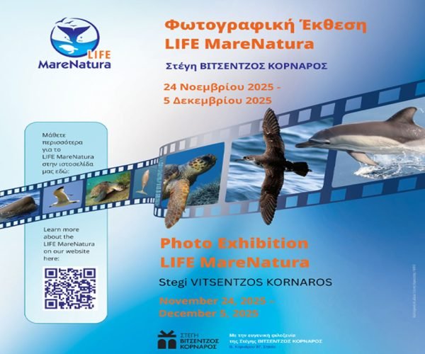 ANTONIS for SITE - GREEK-TURKISH COOPERATION